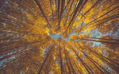 Fall is here!