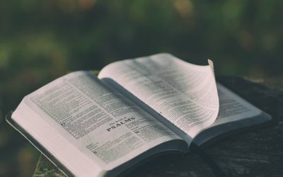 Is the Bible Safe?